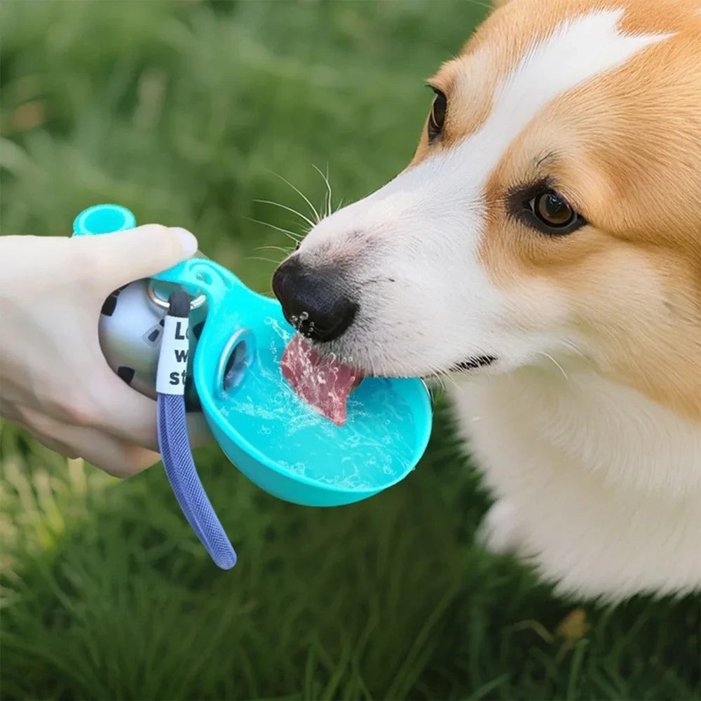 Zyko Steel Pet Water Bottle