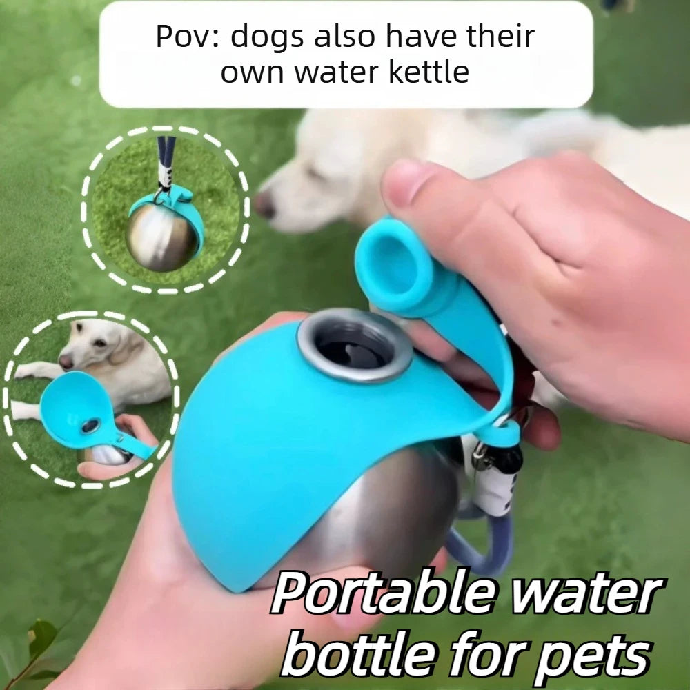 Zyko Steel Pet Water Bottle
